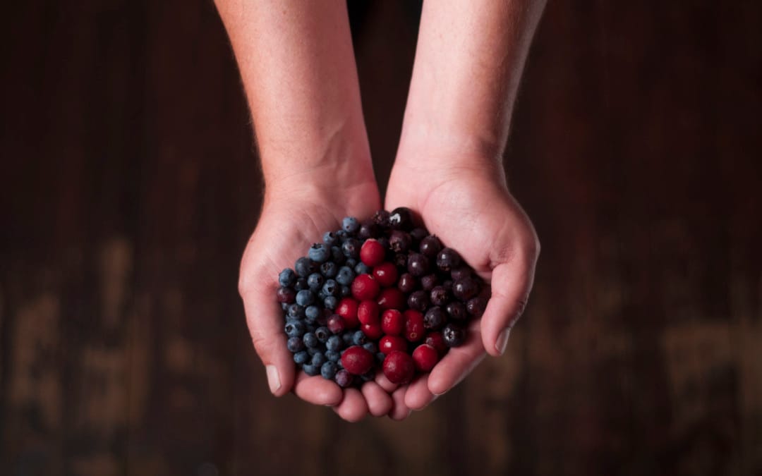 Revue de littérature sur les potentiels d&rsquo;utilisation des ressources boréales