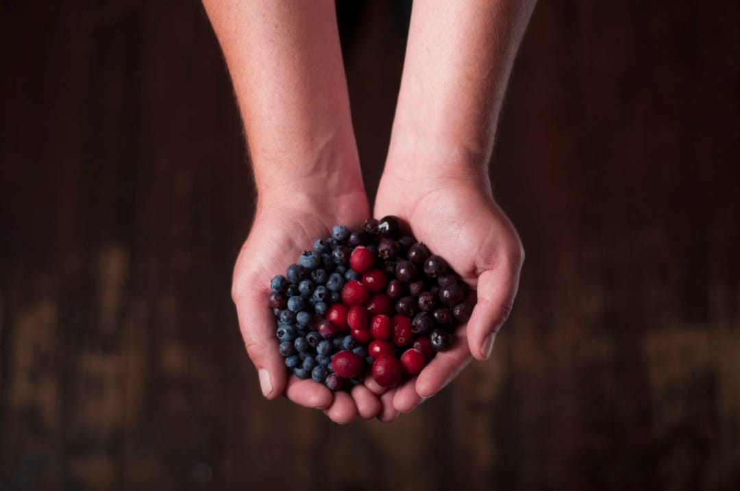 Revue de littérature sur les potentiels d&rsquo;utilisation des ressources boréales